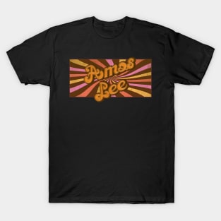 Groovy and Retro Amos Lee T-Shirt